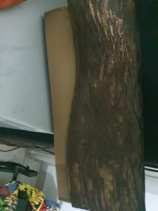 Bolso y Zapatos Pilar Burgos Naranja