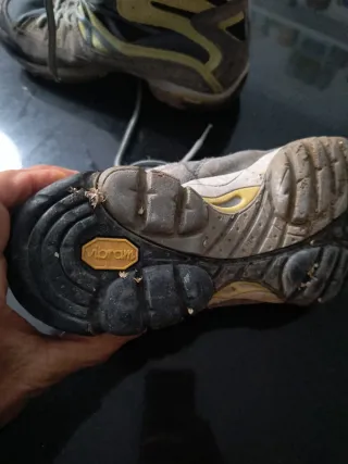 Botas Asolo Gore-Tex Marrones y Verdes