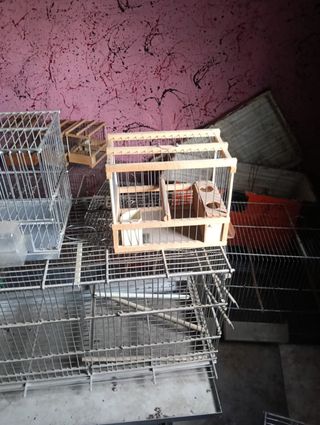 Jaulas para pájaros