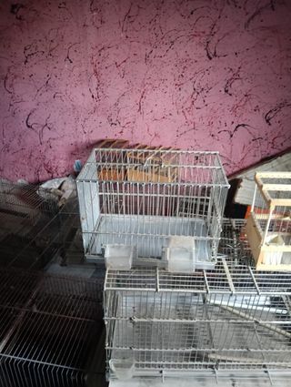 Jaulas para pájaros