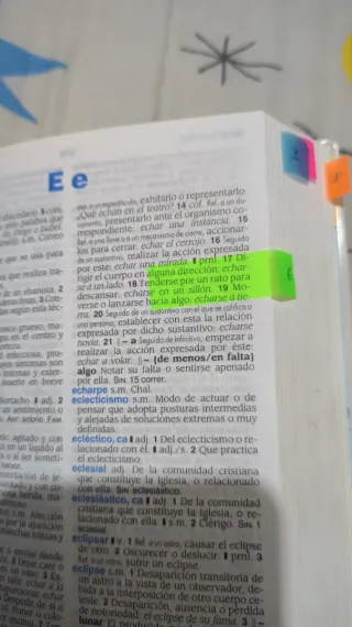 Diccionario General de Lengua Española