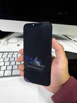 Pantalla iPhone 13 Pro Max