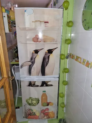 Nevera Combi (URGE VENTA)