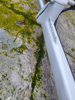 Desbrozadora Stihl FS 450