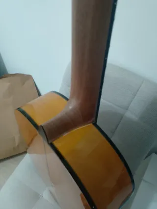 Guitarra Flamenca Autoamplificada