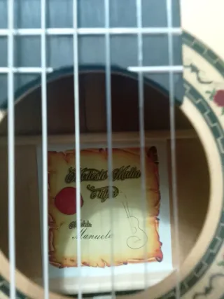 Guitarra Flamenca Autoamplificada