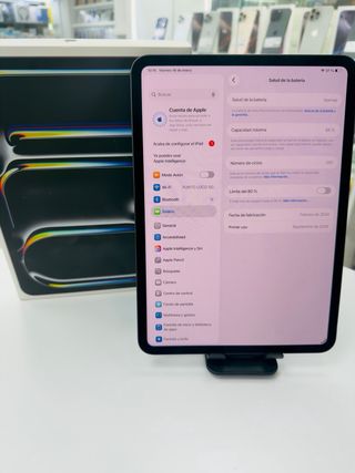 iPad Pro M4 256GB Negro