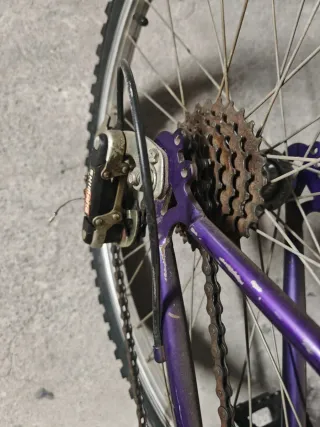 Bicicleta Vivanti Racing 124-V