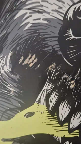 Skate Monopatín para Patinaje