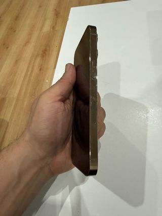 iPhone 13 Pro 256GB Dorado Batería 84%