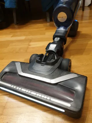 Rowenta Xforce Flex 8.50 Aqua Animal