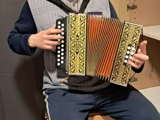 Acordeón Hohner vienna G/C