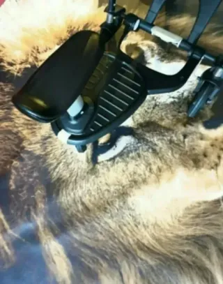 patin/ patinete Confort plus bugaboo