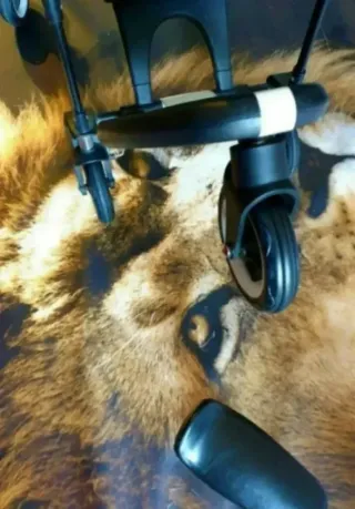 patin/ patinete Confort plus bugaboo