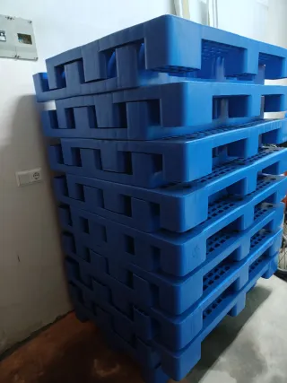 Palets de plástico azules (21 ud). 10 euros / ud.