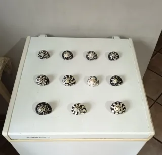 Lotto 11 conchiglie Cittarium Pica - qualità extra