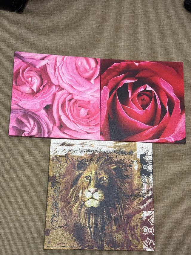3 Cuadros Decorativos Flores y León