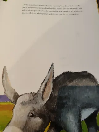 La Historia de Platero y Aventuras de Don Quijote