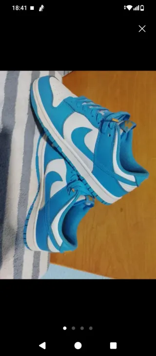 Nike Dunk Low Azul y Blanco