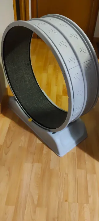 Rueda para gatos