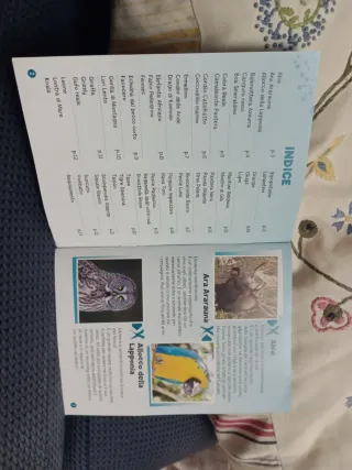 Gioco Piccolo Genio Lisciani - 100 Tessere