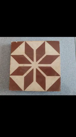 Baldosas y ladrillos de barro