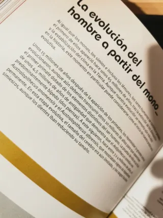 Todo lo que hay que saber sobre todo lo que hay...