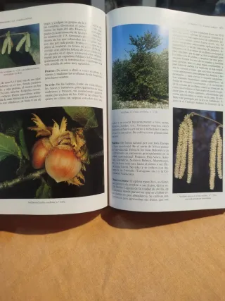 Libros tomo I y II árboles y arbustos