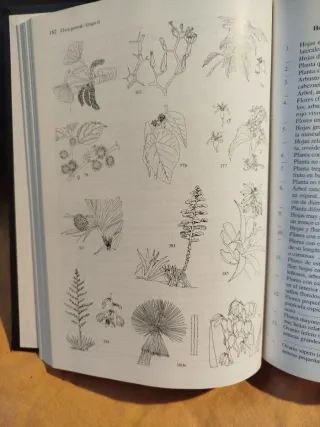 Libros tomo I y II árboles y arbustos