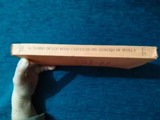 El Tumbo de los Reyes Católicos del Consejo de Sev