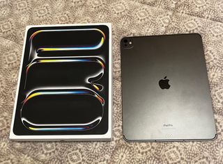 iPad Pro M4 13 Wifi + Celular Plata