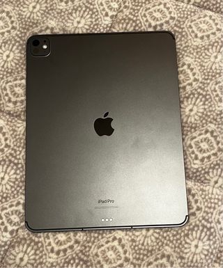 iPad Pro M4 13 Wifi + Celular Plata