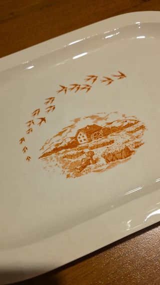 Vassoio Mulino Bianco Ovale rif 2