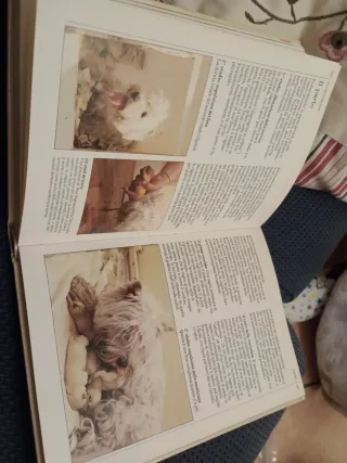 Libro: 'Il mio cane' edizioni Oscar Mondadori