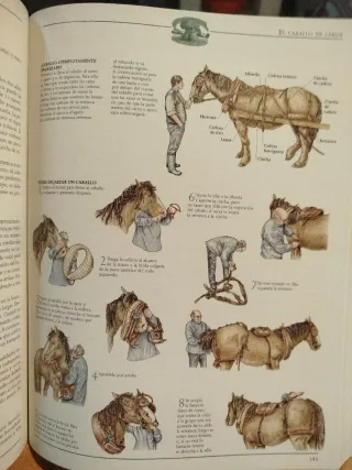 Libro guía práctica vida autosuficiente