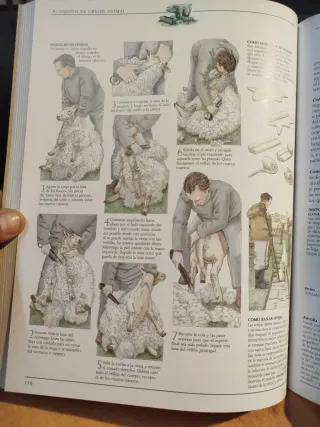 Libro guía práctica vida autosuficiente