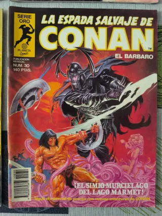 2 de Reino Salvaje de Conan y 2 de Espada Salvaje