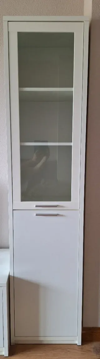 Vitrina de salón con puertas de cristal