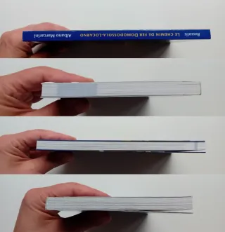 Le chemin de fer Domodossola-Locarno,A. Marcarini