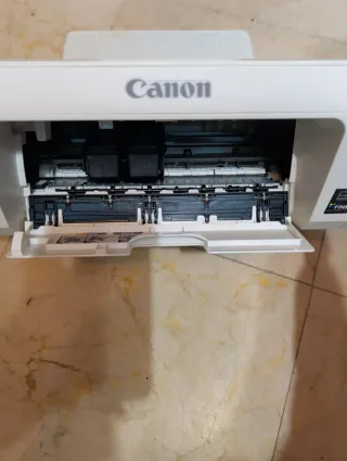 Impresora Canon Pixma MG2950