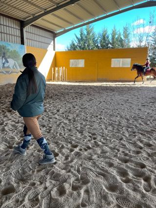 Clases de equitación de iniciación