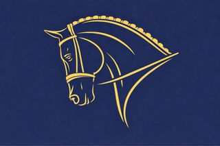 Clases de equitación de iniciación