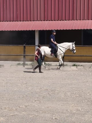 Clases de equitación