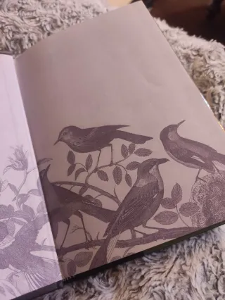 La educación de un hada (Spanish Edition)