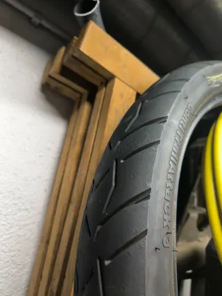 Neumáticos Trail Asfálticos Delantero y Trasero