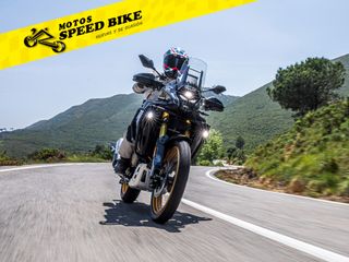 VOGE DS800 RALLY 900cc Trail