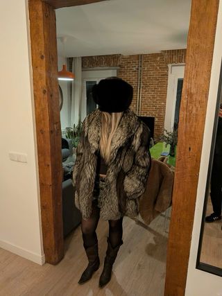 Abrigo de zorro plateado