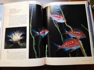 LIBRO LOS REINOS DEL MAR.-NATIONAL GEOGRAPHIC