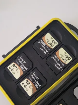 Lotto Schede SD funzionanti+ Lettore Kingston 3.0