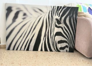 Cuadro Zebra Ikea Blanco y Negro